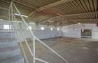 0 Comision | Spatiu industrial | Hala | Brasov - 16