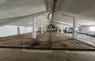 De vânzare teren 7.200 m2 + hale industriale. 4.250 m2 in Florești! - 12