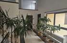 Domenii, vila individuala 6 camere,250mp - 11