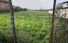 Teren Extravilan, 3.321 mp, zona Magnoliei - 1