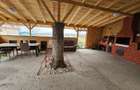 Casa Raiul Copiilor - Crevedia/Darza ( Parter+ etaj ) - 16