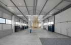 Hală Industrială Săcălaz | 110-330 mp | Acces TIR - 3