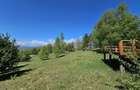 Pensiune in jud. Buzau, loc Ivanetu| Constructie lemn|Pozitionare impresionanta - 9