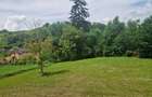 Vand teren intravilan  - 11