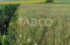 Teren extravilan de vanzare 25920 mp in Sura Mica Sibiu - 7