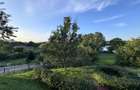 Hotel 25 camere 100 m deschidere DELTA DUNARII teren 12000 mp acces auto - 7