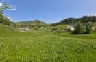 Oportunitate Unică: Teren Intravilan de 4073 mp cu Vedere către Munții Bucegi - 5