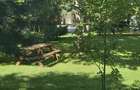 Apartament 3 Camere | Amenajat Airbnb | Afacere la Cheie | Randament - 16