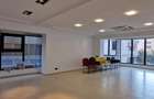 Nordului Caramfil Office lux all level su 185mp - 8