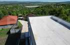 Casa 4 camere, 200 mp, 1050 mp teren, zona Ciurbesti - 5