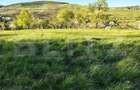 Casă individuală în zonă pitorească, cu 3271 mp teren, Vâlcele-Feleacu - 20