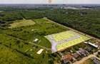 Parcele la padure, între Timișoara și Ghiroda/Giarmata Vii - Com 0% - 11