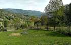 Teren Extravilan 23000 mp-potential turistic Valea Doftanei  8 euro/mp - 3