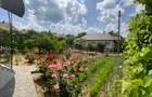BAIA SPRIE - spre Cavnic Vila D+P+E 168mp + anexa cu teren 1526mp! - 9