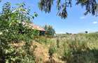 Vanzare teren Ilfov -Vidra / Sintesti / 3524 - 3