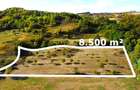 VIDEO | Super view | Teren 8.500 m² in Maramures | Viitorul tau colt de liniste