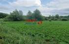 Oportunitate de Investiție: Teren 24000mp Intravilan Construibil în Ga - 8