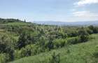 Teren extravilan - 8000 mp, Gusterita - 3