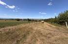 Teren 2.900 mp - 900 mp intravilan Jucu de Sus Panoramă Investiție - 5