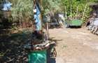 Casa cu teren mare in Bolintin Deal - 5