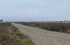 Stupini-DN13 loc de casa - 3