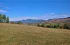 1,8 ha teren cu priveliste langa Deva in Barsau. - 3