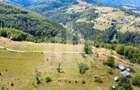 Teren intravilan | 3565 mp | Ideal constructie cabane | Garda de Sus - 7