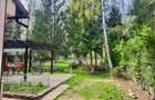 Casa Vermont, cu Padure Privata, Paradisul Verde, teren 1800mp, gradina matura - 3