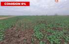 Comision 0% Teren industrial, 7 ha, intravilan, Calea Sagului  - 5