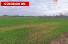 COMISION 0% Teren intravilan industrial 28.395 mp la sosea in Sag  - 3