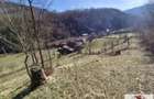 Casa de vanzare/schimb in Metes - Presaca Ampoiului - 8