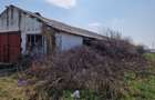 Fermă de vânzare 8 ha – Balș, județul Olt - 5