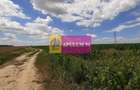 Teren 715mp în Snagov lângă Equestria - 27