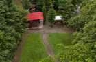 Teren intravilan 922 mp Valea Avrigului | Front 38 m | Zona Ghiocelul - 4