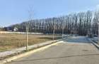 Teren de vanzare in Corbeanca - 3937 mp, amplasat intr-un cartier rezidential. - 4