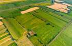 Teren de 50 ha compact în Bujac - 7