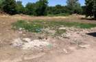 Vand teren intravilan Prundu, 2900 mp,front str. 110 ml - 649000 euro negociabil - 6