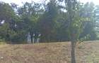 Casă bătrânească plus teren 9515 mp. Sălătrucel sat Serbănesti - 7