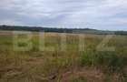Teren de vânzare, 2.500 mp, Suta Olteni