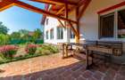 Casa + Pensiune deosebita - Orlat, Sibiu - 59
