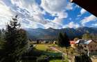 Vila Exclusivista Piatra Arsa Busteni - 13