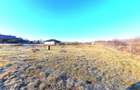 Descoperă Terenul Ideal: 390mp în Daia, Sibiu - 3