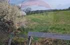Teren 1,439mp Santaul Mare / Strada principala - 1