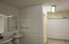 Showroom auto, construcții 6500 mp, teren 31.350 mp, deschidere 176 ml la DN 1! - 40