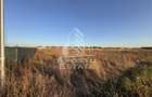 Teren Intravilan | 706mp | Front 16ml | Zona Mosnita Noua - 2