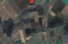 Teren agricol comasat 50.000 mp - Satchinez!! - 2