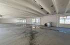 Spatiu Industrial -  1000 mp - Productie - Depozitare - Distributie - 9