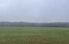 9400 mp | Ideal pentru investitie | Tunari | Deschidere la padure - 8