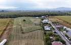 Teren 799mp Sanpetru / Strada drumul cu plopi - 4