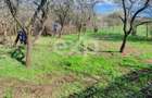 Casă la țară de vânzare – Buzoesti, Argeș | Ideală pentru locuit sau relaxare - 8